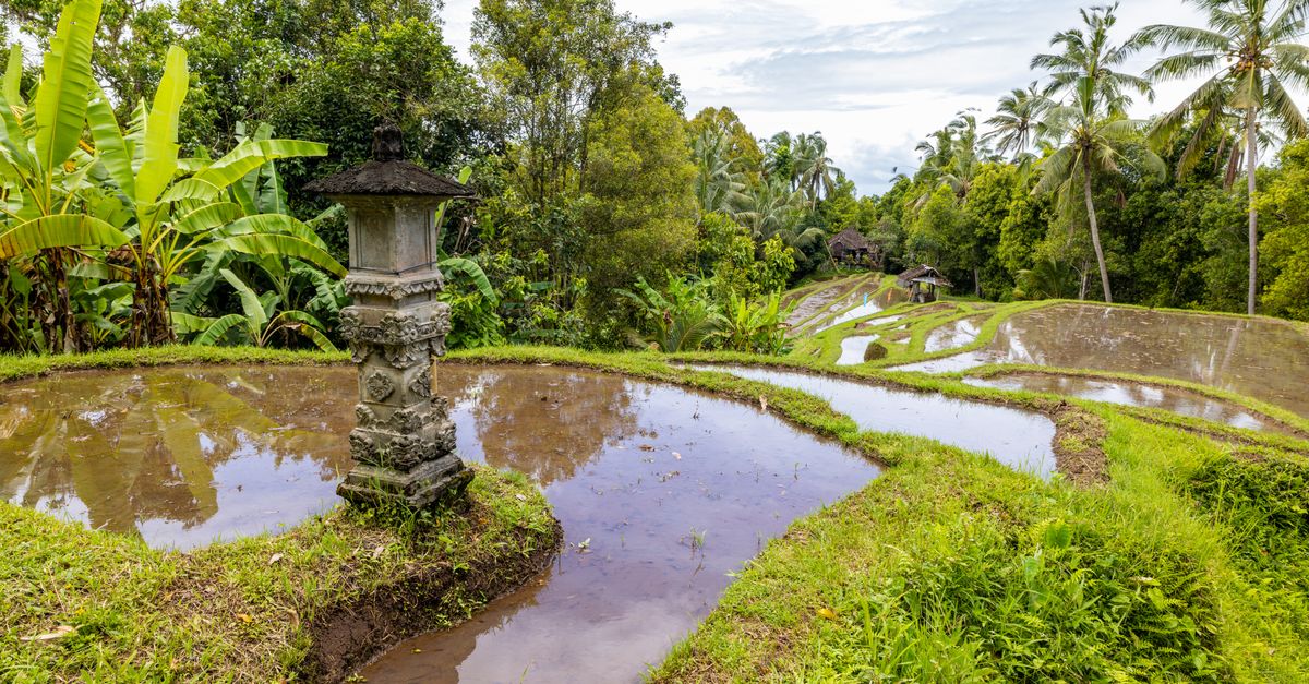 Tuần trăng mật ở Bali: những địa điểm lãng mạn đáng trải nghiệm